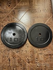 Dischi da 10kg l uno in cemento armato Nuovo!