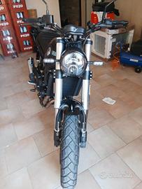  Benelli leoncino 500 trial