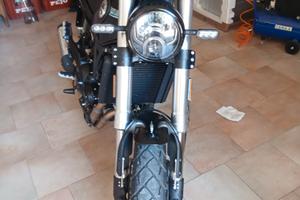  Benelli leoncino 500 trial