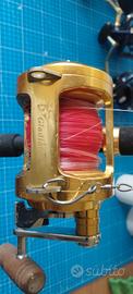 Mulinello Gladiator 6/0 + canna Stand Up 50/80. 