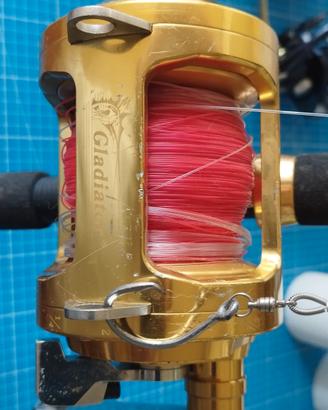 Mulinello Gladiator 6/0 + canna Stand Up 50/80. 