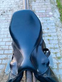 Sella Equitazione 17’5