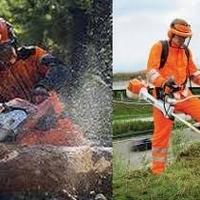 Giardiniere/ abbattimento piante