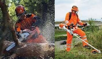 Giardiniere/ abbattimento piante