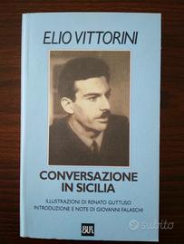 Libro: Conversazione in Sicilia