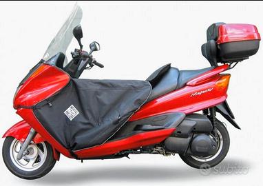 Termo scudo per Majestic 250cc