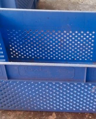 casse in plastica impilabili 