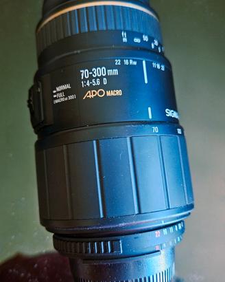 obiettivo Sigma 70-300