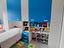 Immagine 1