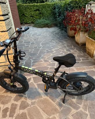 Argento Mini Max+ – versione 2021