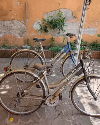 Biciclette in coppia