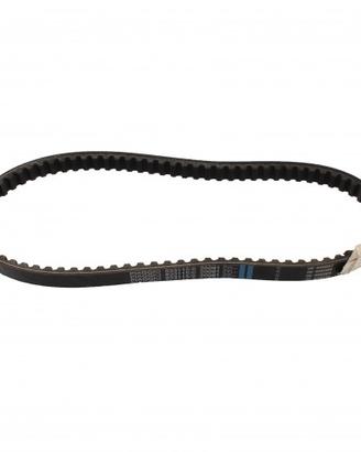 Cinghia variatore Piaggio Liberty Aprilia Scarabeo