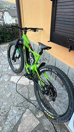 Specialized levo