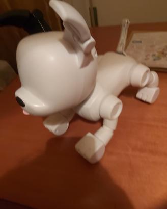 CANE      ROBOT     