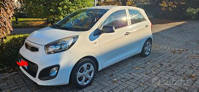 kia picanto benzina 2011 euro 3700