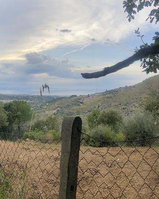 Terreno panoramico 5000 mq con uliveto e pozzi Gra