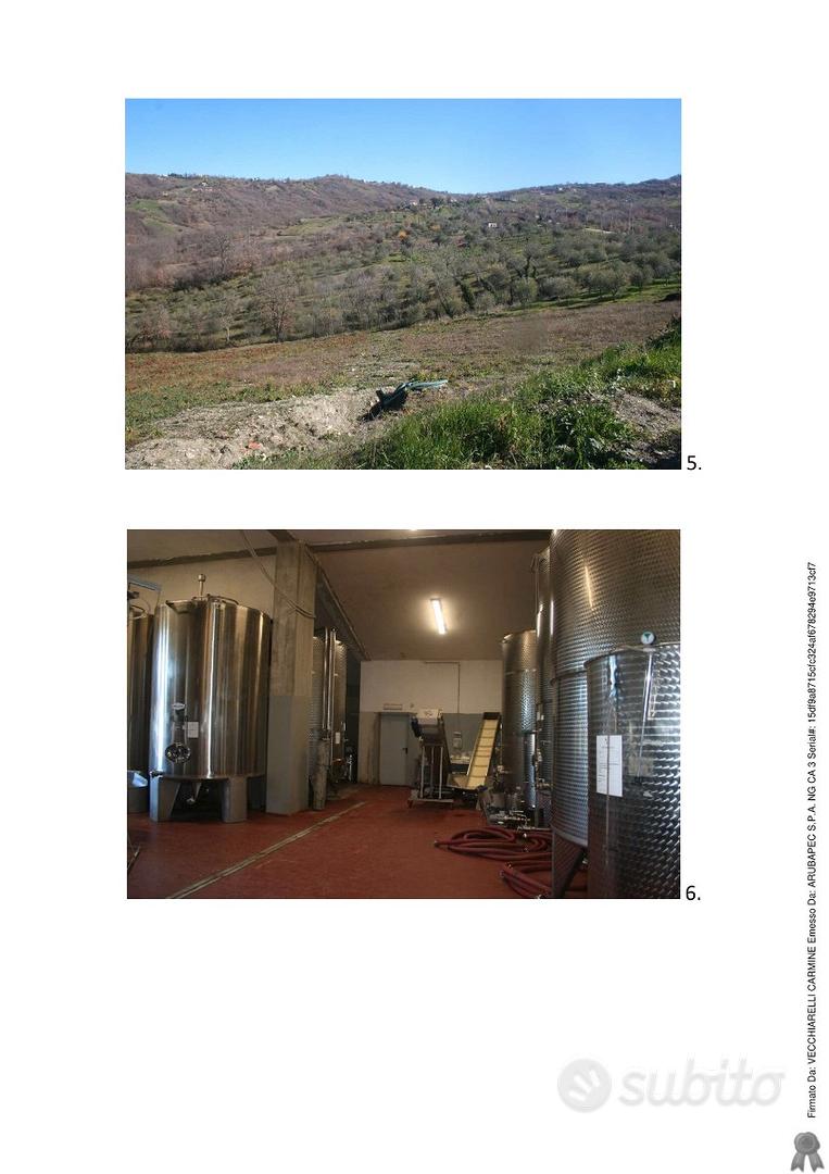 Tav 50/2021 lotto 2 terreno - Vista 3