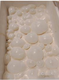 Pizzaiolo / secondo pizzaiolo