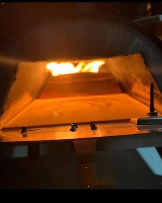 Forno a pellet e legna