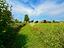 Immagine 28