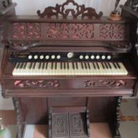 Harmonium Carpenter fine 800