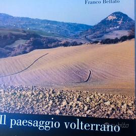 libri il paesaggio volterrano