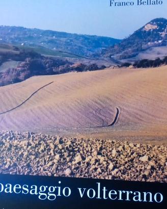 libri il paesaggio volterrano