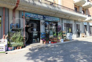 Negozio Vasto [IVM202609VCG]