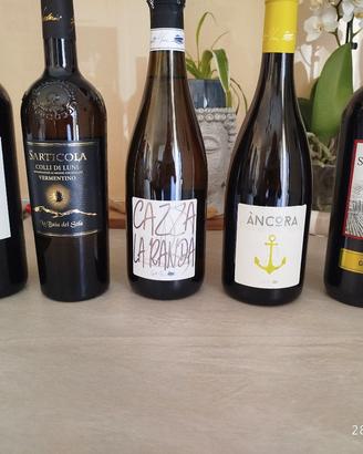Bottiglie vino bianco/rosso