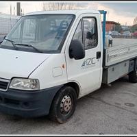 FIAT Ducato 244 per ricambi