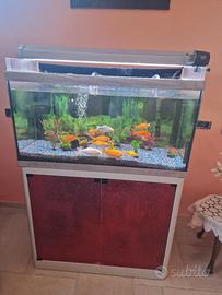 acquario 200 litri con mobile in alluminio e vetto