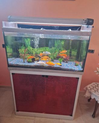acquario 200 litri con mobile in alluminio e vetto