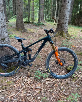 Trek slash tg L carbon custom build 2026