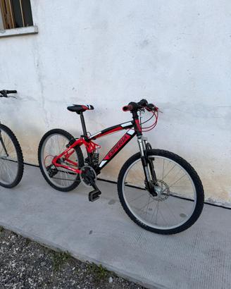 Bicicletta