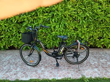 Bicicletta elettrica