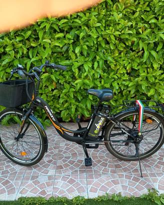 Bicicletta elettrica