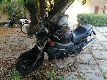 Honda X11