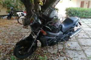 Honda X11