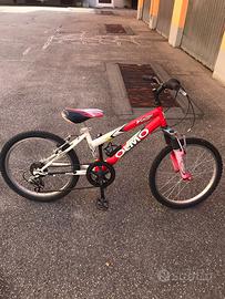 Mountain bike 20”