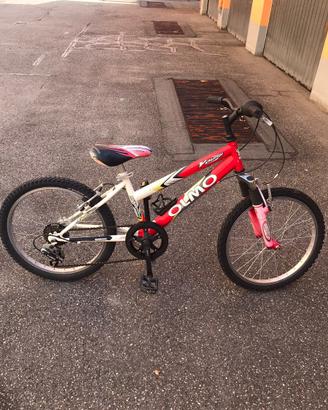 Mountain bike 20”