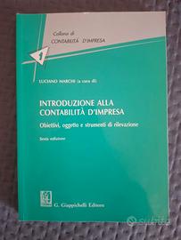 Introduzione alla contabilità d'impresa