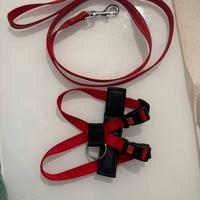 Guinzaglio con pettorina