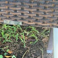 Sgabelli da bancone /isola