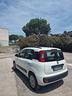fiat-panda-1-3-disel-75-cavalli-neo-patentati