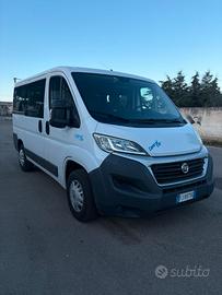 Fiat ducato 9 posti