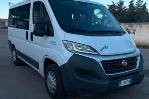 Fiat ducato 9 posti