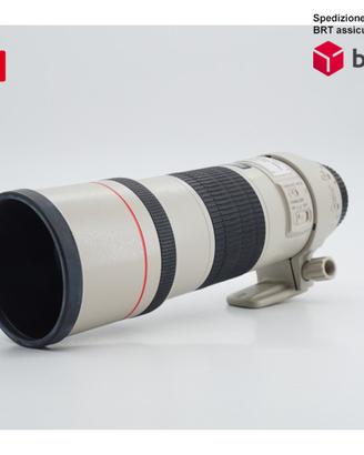 Canon EF 300 F4 L IS USM (Canon)