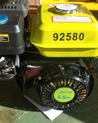 Motore Termico a benzina 