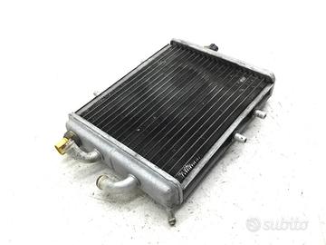 APRILIA LEONARDO 250 RADIATORE ACQUA LIQUIDO RAFFR