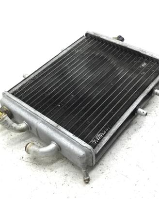 APRILIA LEONARDO 250 RADIATORE ACQUA LIQUIDO RAFFR